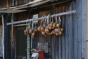 Onions Drying on Wooden Building