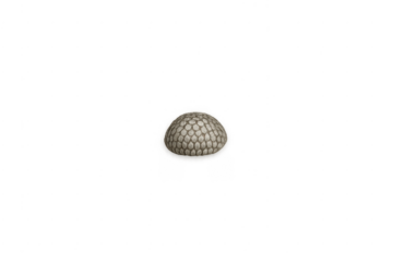 Scaled dome rock isolated with transparent background