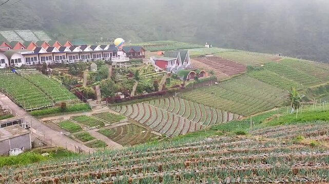 farmland in the in central java