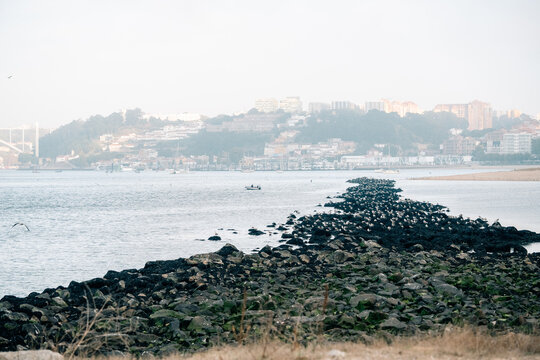Rocky Shoreline Pathway at Sunset Near Coastal City