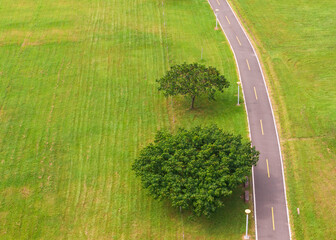 Green Park Path and Trees Aerial View