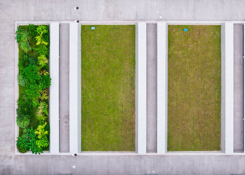 Modern Urban Rooftop Garden with Pathways and Grassy Areas