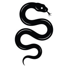 black and white snake