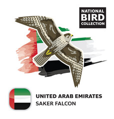National Bird Set UAE Saker Falcon Vector Character
