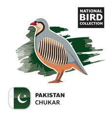 National Bird Set Pakistan Chukar Vector Character