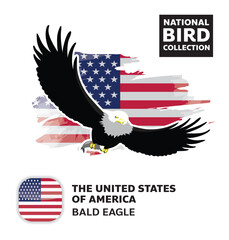 National Bird Set United States of America Bald Eagle Vector Character