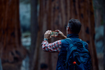 Tourist takes photos in Sequoia National Park