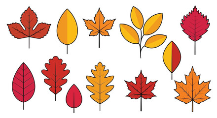 Obraz premium Autumn leaves vector graphic fall foliage clip art illustration