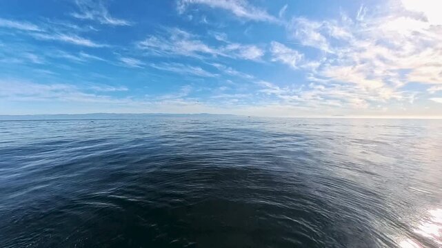 Whale Watching Over Empty Seas in the Santa Barbara Channel