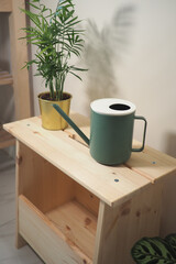 Green watering can on wooden shelf with potted plant
