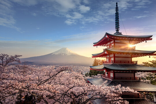 Fototapeta Fujiyoshida, Japan Beautiful view of mountain Fuji and Chureito pagoda at sunset, japan in the spring with cherry blossoms