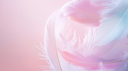 Falling Pink and light blue feather Abstract background texture.	
