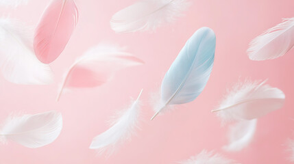 Falling Pink and light blue feather Abstract background texture.	
