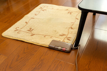 部屋の床の上に敷かれた電気カーペット