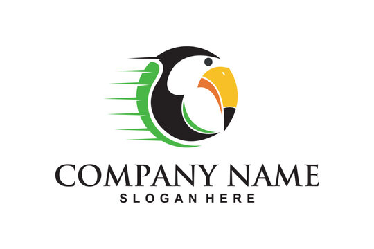 Toucan Bird Logo Design Company Name Slogan Here.