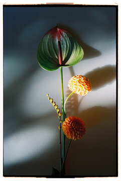 Beautiful arrangement of colorful flowers against a soft background 