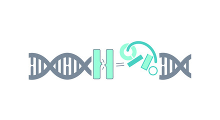 Cutting-edge DNA repair concept showing molecular biology with advanced genetic engineering for genome editing and biotechnology advancements
