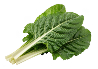 Fresh swiss chard leaves with white stems isolated on a black background isolated on transparent background