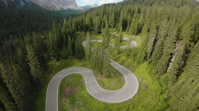 dolomites challenging ascent along verdant woodland trail, trekking through dense green forestry and rugged mountain terrain, adventurous expedition across towering trees and scenic