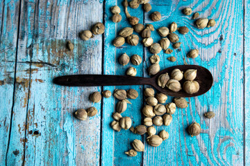 Dry Cardamom (kapulaga, Amomum compactum, cardamum). Cardamom are used as flavorings and cooking spices in food and drink