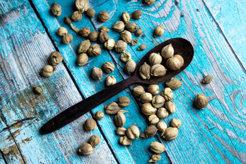 Dry Cardamom (kapulaga, Amomum compactum, cardamum). Cardamom are used as flavorings and cooking spices in food and drink