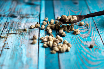 Dry Cardamom (kapulaga, Amomum compactum, cardamum). Cardamom are used as flavorings and cooking spices in food and drink
