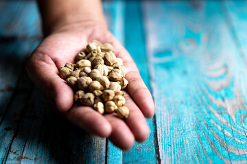 Dry Cardamom (kapulaga, Amomum compactum, cardamum). Cardamom are used as flavorings and cooking spices in food and drink