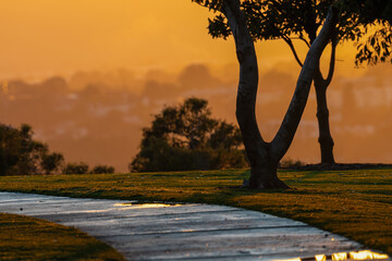 Sunrise at Kings Park, Perth, Western Australia. 