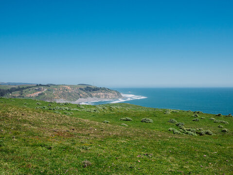 Green fields and bluffs by ocean