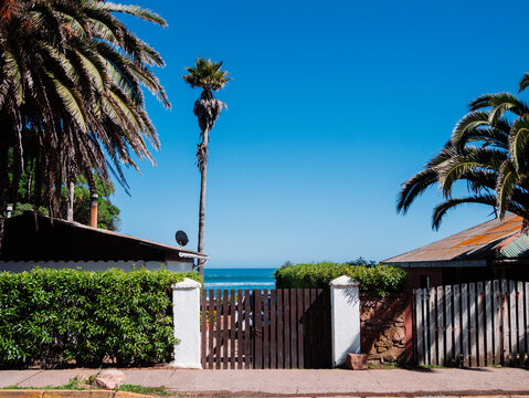Coastal Homes and Palms