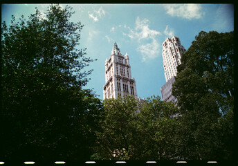 Tall Buildings in New York Rise Above Lush Greenery in Central Park
