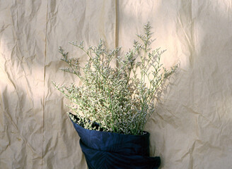 Film scan photo Limonium Misty White flower bunch wrapping brown paper