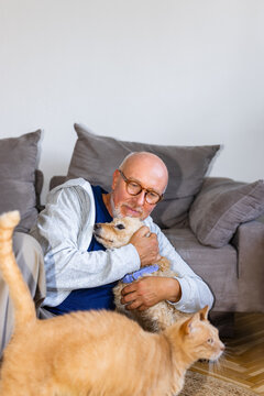 Dad's pet