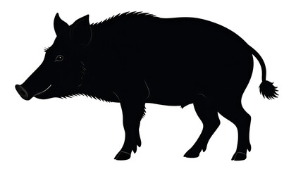 Silhouette of a Wild Boar Against a White Background.