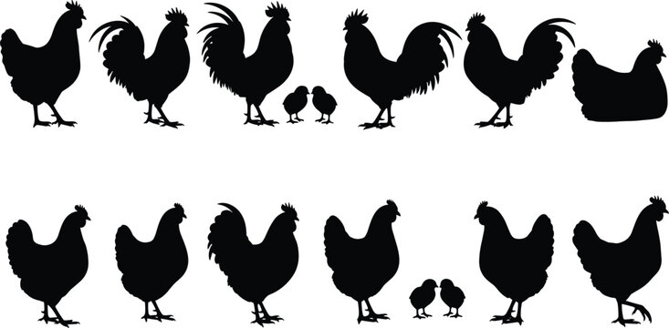 Black Vector Silhouettes of Farm Chickens and Roosters, Detailed Hen and Rooster Icons with Baby Chicks, Poultry Collection for Agriculture Design, Isolated on White Background.