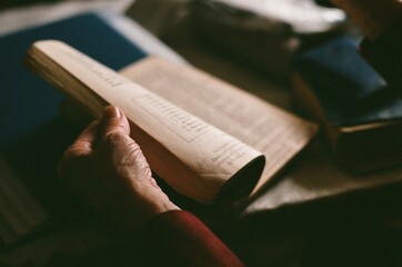Reading an Old Book in Soft Light During the Afternoon