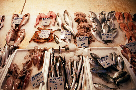 Fresh Seafood Display at a Local Market in Greece