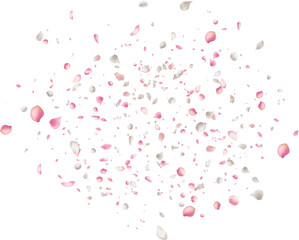 Pink Sakura petal overlay Motion blur Soft shadows Ideal for sweet floral perfume advertising or spring cosmetic packaging  feminine design