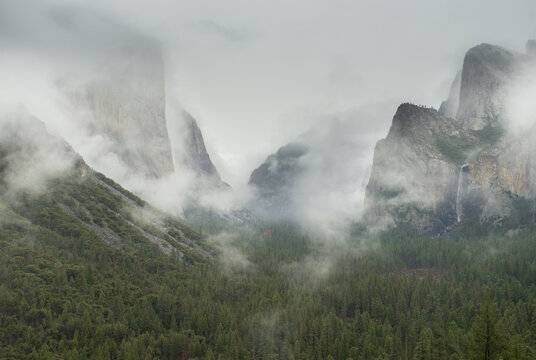 Foggy Yosemite National Park