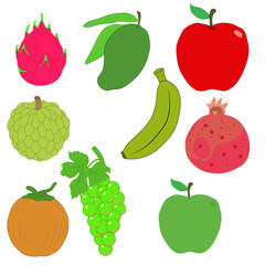 set of different types fruit illustration for cute cartoon animation