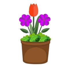 flower in pot vector illustration.