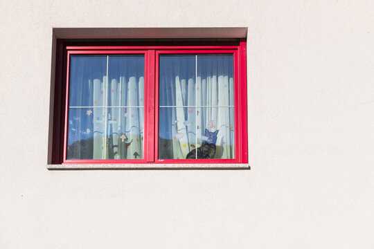 Cat Behind Curtains in Red Framed Window