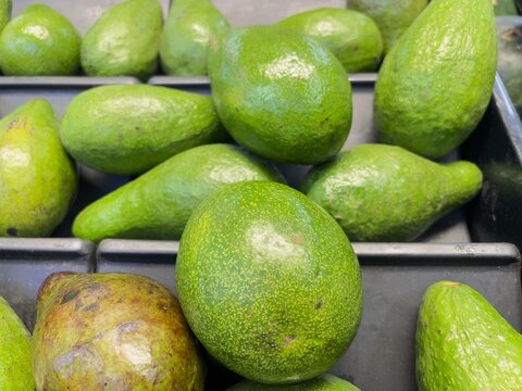 avocado