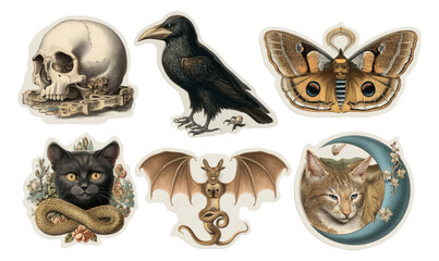 Fototapeta premium Vintage Illustrations of Animals, Skull, Insect, and Mythical Creatures on Transparent Background