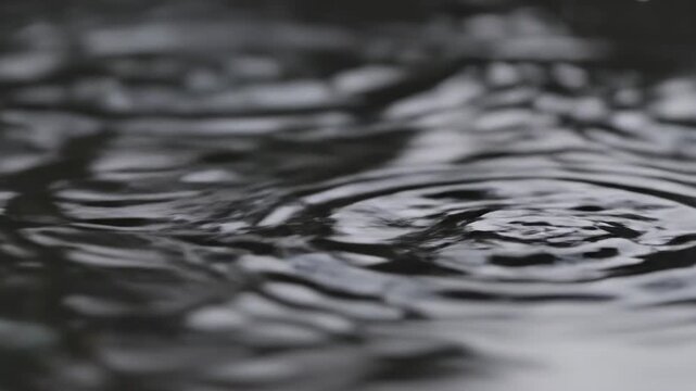 Extreme close-up slow motion of gentle rain droplets hitting a pristine, dark water surface creating perfect circular ripples and distorted light reflections slow motion, dark, cinematic