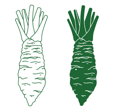 Minimalist green vector illustrations of fresh wasabi root with leaves isolated on white