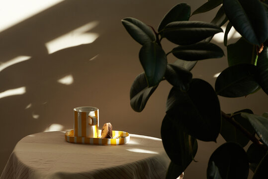 Sunlit moment with a cup of tea 