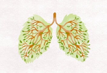 Female reproductive system 