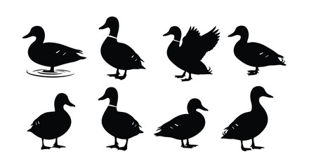 Black silhouette illustrations depicting various poses of ducks and waterfowl