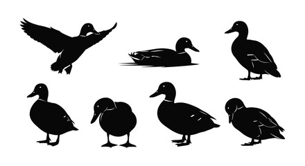 Black silhouette illustrations depicting various poses of ducks and waterfowl